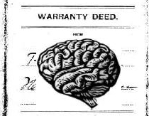 [Company Logo Image]