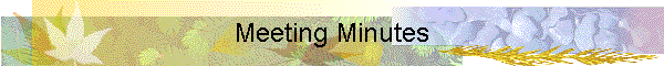 Meeting Minutes