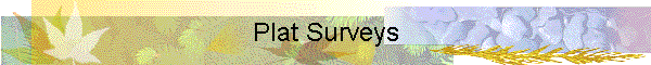 Plat Surveys