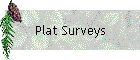 Plat Surveys